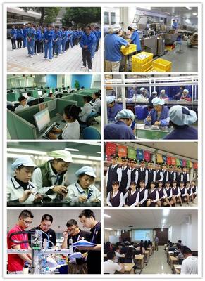 藍(lán)橋國(guó)際——專業(yè)勞務(wù)服務(wù)的背景與來(lái)歷